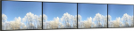 Hi-Nd Videorow Wall Landscape | 4&times;43" Samsung QM43C, QH43C | VESA 200x200-400x400 | Max 60kg | Gr&aring;