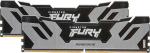 KIN Kingston FURY Renegade Silver - DDR5 - Kit