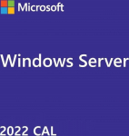 Fujitsu Microsoft Windows Server 2022 CAL 1 User (PY-WCU01CA)