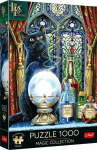 Trefl PUZZLE 1000EL TREFL PREMIUM WITCH'S APPRENTICE PU6