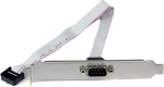 StarTech.com 16in (40cm) 9 Pin Serial Male to 10 Pin Motherboard Header Slot Plate - motherboard Serial Port Adapter (PLATE9M16) - Seriell panel - DB-9 (hane) till 10 pin IDC (female) - 41 cm - gray