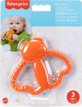 MATTEL Fisher Price - Bug Teether (JFJ97)
