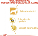 Roy Royal Canin Yorkshire Terrier Adult 85 g