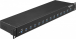 Delock Hub - 13 x USB 3.1 Gen 1 - an Rack mountable