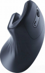 Gembird Mouse Ergonomic Mouse 6 black buttons