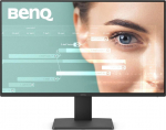 BenQ GW2491 24 IPS 1920 x 1080 (Full HD) HDMI DisplayPort 100Hz