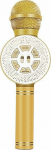 Vega Karaoke microphone gold