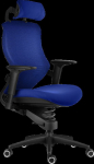Computer chair XTREME Plus active work chair blue