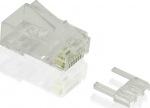 VALUE Networking - RJ-45 (M) - ungeschirmt - CAT 6e - durchsichtig (pack of 100)