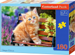 1565 Castorland Puzzle Rudy kitten 180 element&oacute;w (018178)