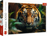 Trefl Puzzle 1000 Wild Tiger elements