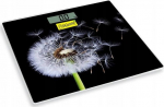 Tanita Bathroom Scale BATHROOM SCALE MR 1828 DANDELIONS