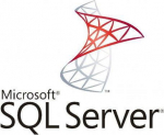 Microsoft OVS-GOV SQL Server Std. Core 2Lic/SA ADD 1Y GOV
