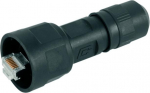 Teleg&auml;rtner Karl G&auml;rtner Teleg&auml;rtner J80026A0009 - RJ45 - Schwarz