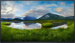 DEL Dell P2425HWO - 100Hz | Full HD | 24" | IPS | 5ms - 27" | IPS | Full HD | 100Hz