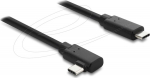 Delock USB-Kabel - USB-C (M) zu USB-C (M)