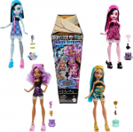 Mattel Monster High: Buried Secrets - Mystery Dolls (Random) (HYV64)