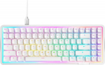 NZXT Function Elite - Tastatur - TKL - hintergrundbeleuchtet - USB - QWERTZ - Deutsch - Tastenschalter: NZXT Magnetic Switches (Hot-swappable)