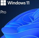 Software|MICROSOFT|Win 11 Pro 64Bit Eng Intl 1pk DSP OEI DVD|Win Pro|OEM|English|FQC-10528
