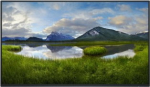 DEL DELL PRO 27 PLUS P2725H FHD IPS 16:9 PIVOT 100HZ USBC-15W (NO STAND)