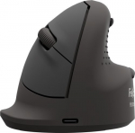Fellowes Breyta vertical mouse medium right