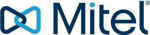 Mitel 5617 - Wireless digital phone - with