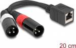 Delock Audio-Adapter - XLR3 male to RJ-45