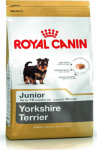 Roy Royal Canin Yorkshire Terrier Junior dry food for puppies do 10 month, yorkshire breed terrier 1.5 kg