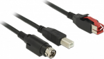 Delock Powered USB-Kabel - USB PlusPower (24 V)
