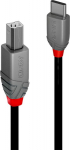 LINDY 0.5m USB 2.0 Typ C an B Kabel, Anthra Line