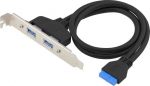 CONCEPTRONIC Slotblech 19/20-Pin->2xUSB-A3.0 Bu/Bu schwarz