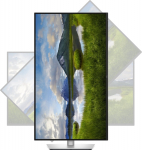 DEL Dell P3225QE | 32 " | IPS | 4K UHD | 16:9 | 100 Hz | 5 ms | 3840 x 2160 pixels | 350 cd/m&sup2; | HDMI ports quantity 1 | Warranty 60 month(s)