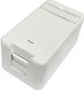 Lanview Surface mount box for 1 x, RJ45 jack