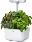 Veritable Exky flower pot Classic