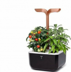 Veritable Veritable Exky flower pot Smart Black&Copper