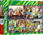 Trefl Puzzle Funny Pets 4x250 element&oacute;w