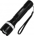 ESP Guitar Company Esperanza Epione L Black Hand flashlight LED