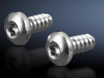 Rittal Rack screws - Metall (pack of