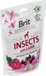 Brit Delicacy Brit Care Dog Insect&Lamb 200g