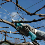 Makita DUP180Z Pruning Shears