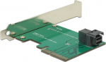 Delock Speicher-Controller - SAS 12Gb/s - PCIe