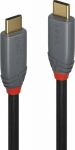 LINDY USB 3.2 Type of cable C/C 5A PD Anthra Line M/M 2m