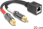 Delock Audio-Adapter - RCA male to RJ-45
