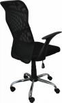Office Products Office Chair Black