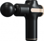 Platinet massaažip&uuml;stol PMAS2