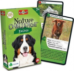 As Company AS &Pi;&alpha;&iota;&chi;&nu;ί&delta;&iota;&alpha; &mu;&epsilon; &Kappa;ά&rho;&tau;&epsilon;&sigmaf;: Nature Challenge - &Sigma;&kappa;ύ&lambda;&omicron;&iota; (1040-90134)