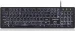 Keyboard Perixx Periboard-317 (11566)