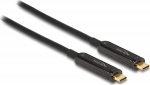 Delock USB-Kabel - 24 pin USB-C (M) zu 24 pin USB-C (M)