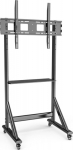 Techly Mobile stand TV 55-100&rdquo; do 120kg adjustable shelf AV