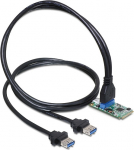 Delock MiniPCIe I/O PCIe full size 1 x 19 Pin